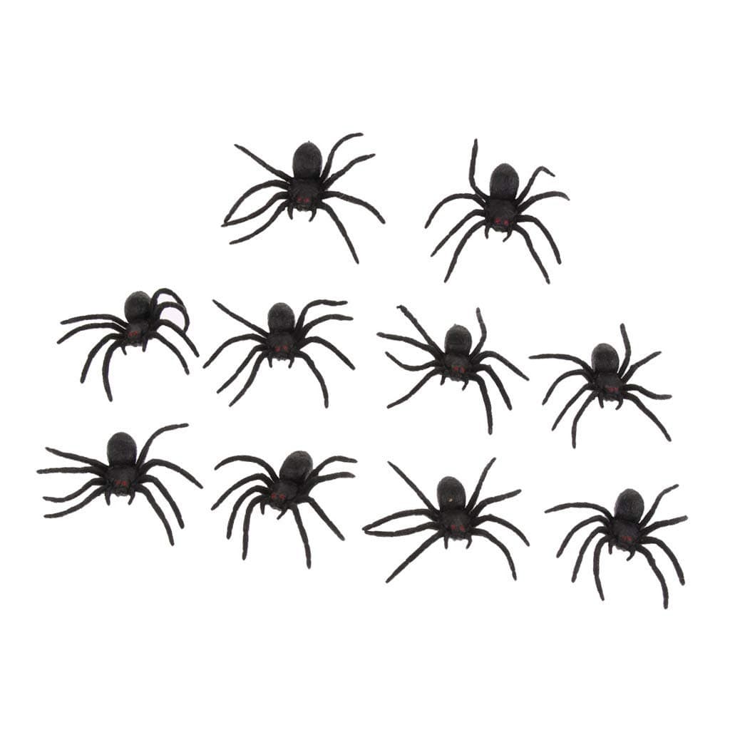 10 Spiders Interacty project