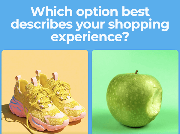 Preview for template "Which option best describes your shopping experience?"